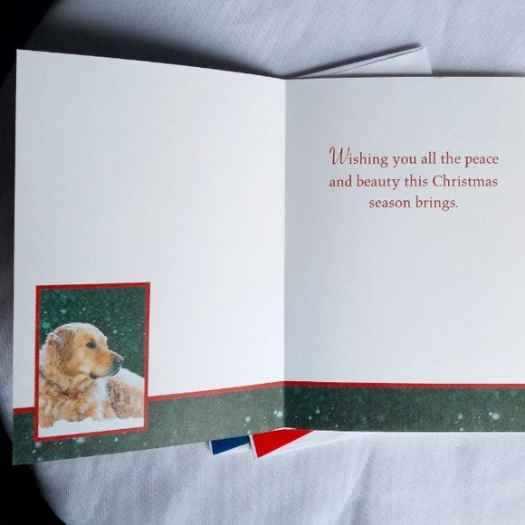 🅓🅞🅝🅐🅣🅔🅓! - Picture 9 of 16